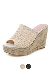 Ceres  Wedges
